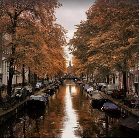 €50 / 1br - 21m2 - Located in one of the most popular areas of Amsterdam, Oud West (Helmersbuurt, Amsterdam, North Holland, Netherlands)